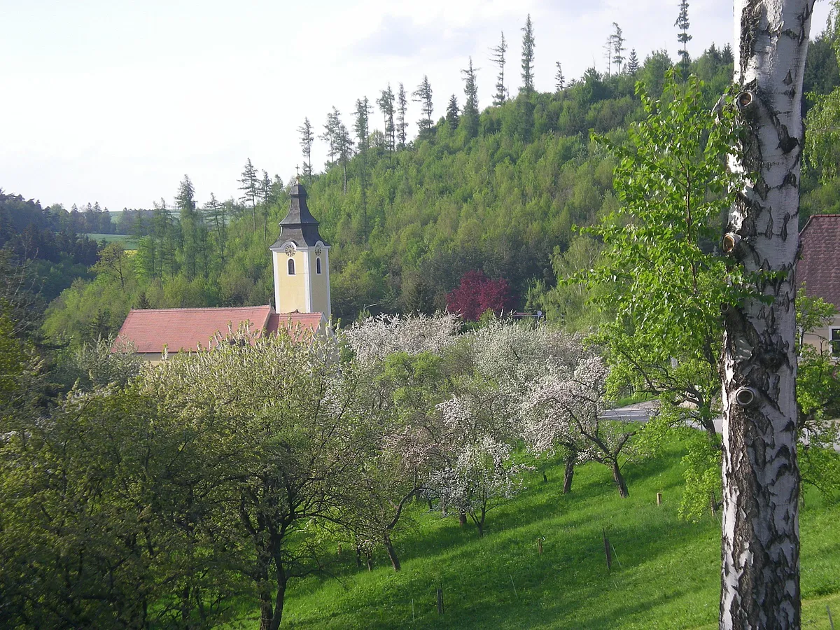 Blick über Messern mit Kirche und blühenden Obstbäumen