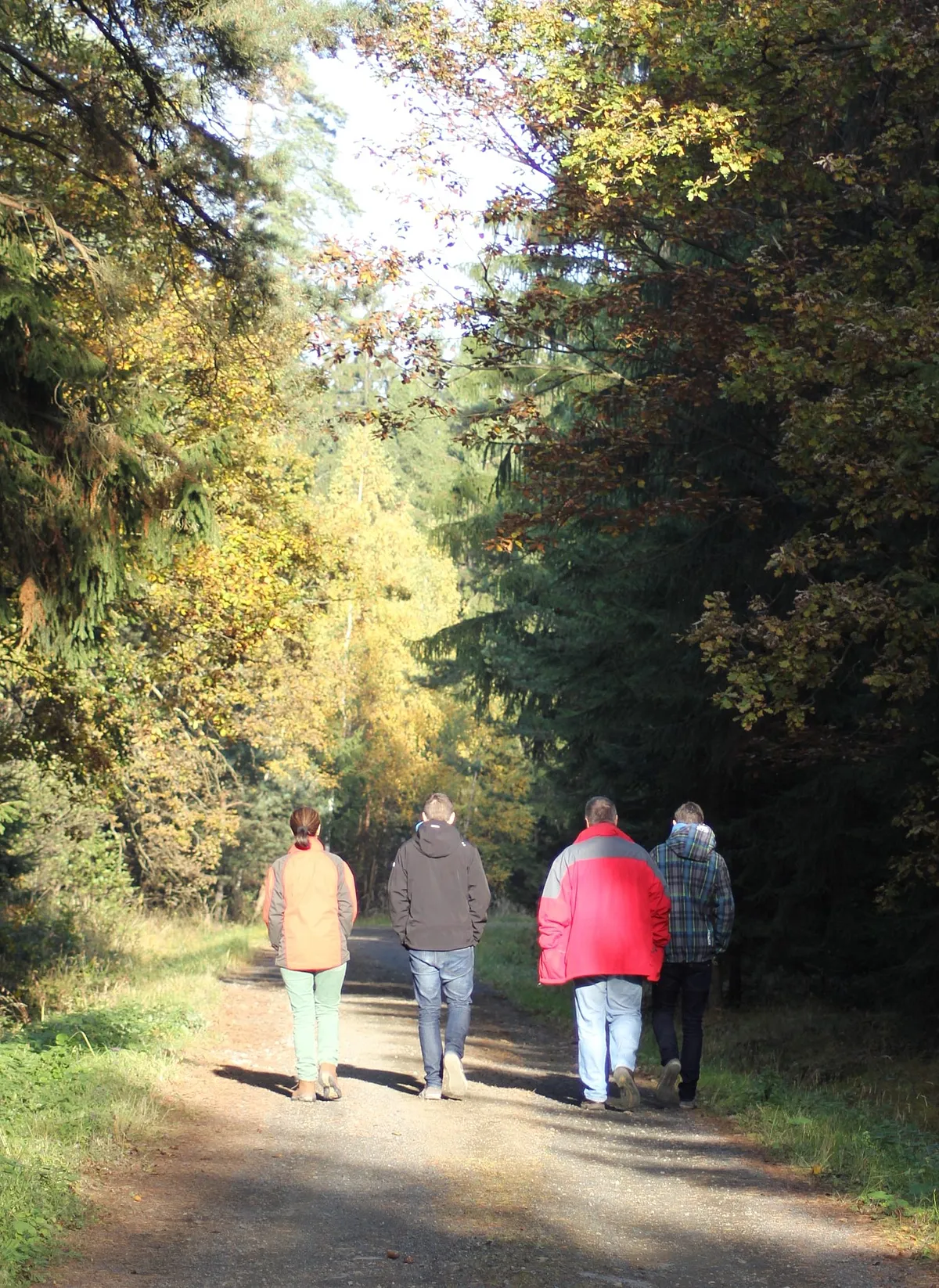Wandern im Waldviertel