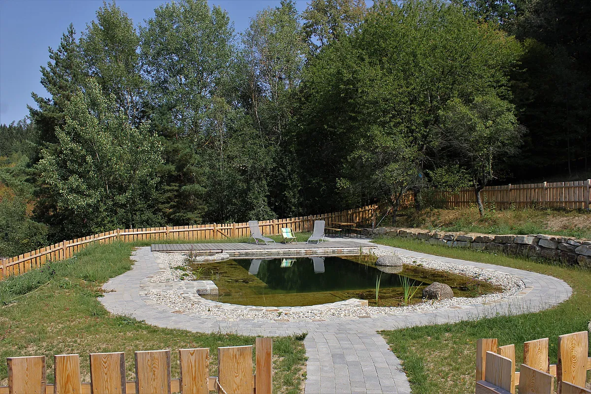Naturpool am Waldrand
