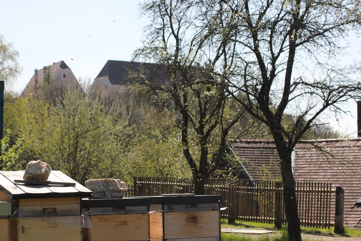 Bienenstöcke mit Blick auf Schloss Wildberg